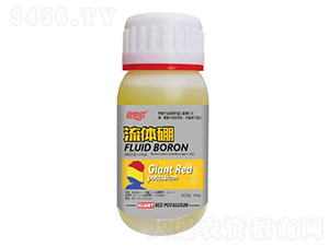 ���w��-�̲���-��(l��)�̷ʘI(y��)