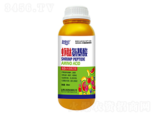 �r�İ�����-�̲���-��(l��)�̷ʘI(y��)