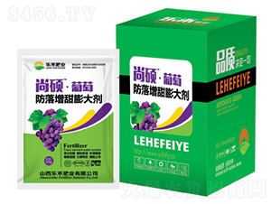 ���ѷ����������-�дT-���̷ʘI(y��)