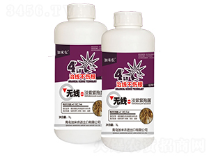 �������߾�-�����r(n��ng)