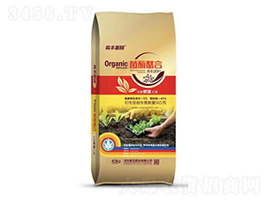 ��ø�����ЙC����-���S�Έ@-ǰ�طʘI(y��)