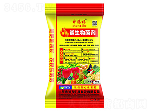 5�|΢�������-���n��-ʢ�����B(t��i)