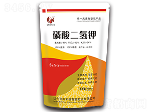 �������⛣�1000g��-˹���Z