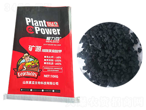 �VԴ̼ø�S�����-������-ʢ�����B(t��i)