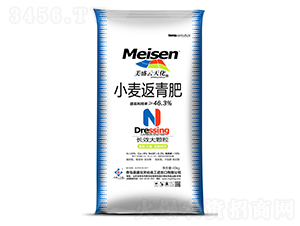 С�������-��ʢ���컯