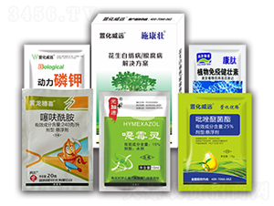 �����׽�����������Q����-ʩ����-�滯���h