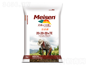 ������20-20-20+TE-��ʢ���컯