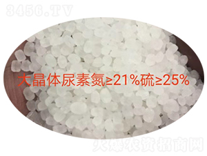 ���w����-�|���S