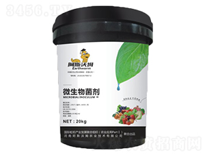 ƽ����΢�������-��˹��ķ