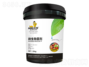 �������΢�������-��˹��ķ