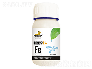 �Ǵ��F-��˹��ķ