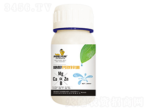 �Ǵ��}�V�\��-��˹��ķ