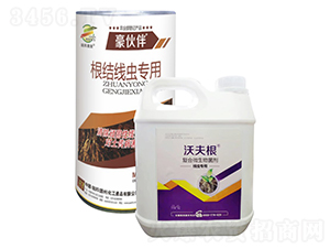 �����+�ַ��-����