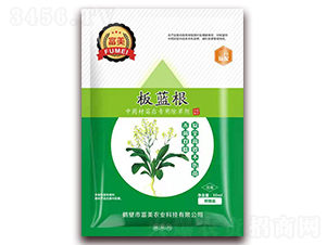 ���{(l��n)����ˎ�ĳ��݄�-����