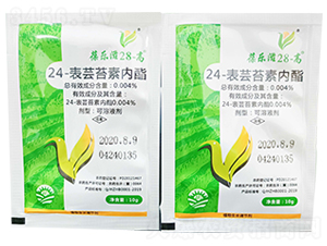 24-���|̦�؃�(n��i)��-�ᘷ(l��)��28-��-��ֲ���A