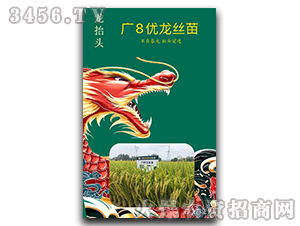 �V8��(y��u)���z��-��?zh��)��^-�׺ͷN�I(y��)