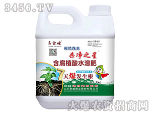 ����ֲ��ˮ�ܷ�-����֮��-�����