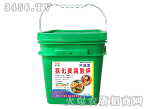 �����S����⛛_ʩ��-��������