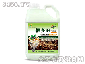 ������-������-��������