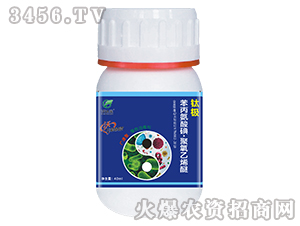 �V�V��ֲ��������-⁘O-������