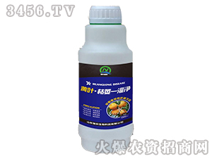 �S�~����ήһ����-���r����