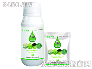 ���I(y��)��(n��i)���ͳ��݄���H-��(ji��)���J�o-嫪{�r(n��ng)�I(y��)