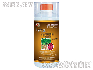 ��ճ�ѿ�ߗU�����߰׽���-������N��-꿾�