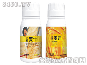 ��ˎ����+��ˎ��æ-���ý�