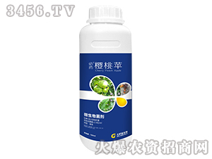 500ml΢�������-��ˎ�����O-���ý�