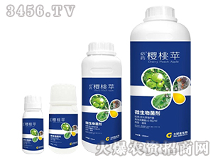 ΢�������-��ˎ�����O-���ý�