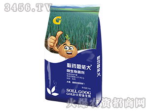 ΢�������-��ˎ�[�д�-���ý�