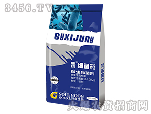 500g΢�������-��ˎ��(x��)��ˎ-���ý�