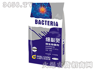 500g΢�������-��(x��)���`-���ý�