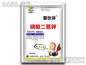 ��������-�����-����