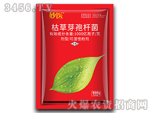 �ݲ�ѿ�ߗU��-���t(y��)-���S����