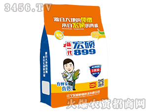 ��һ����T899-�����s���N-��T�N�I(y��)