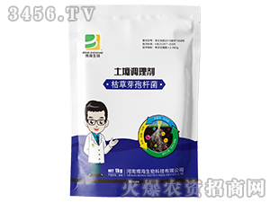 �����{(di��o)�턩-��������