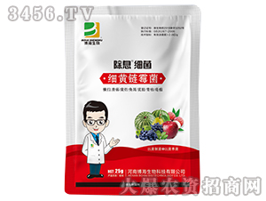 ���S�ù��΢�������-��Ϣ���-��������