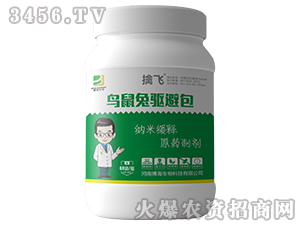 �B�����(q��)�ܰ�-���w-��������