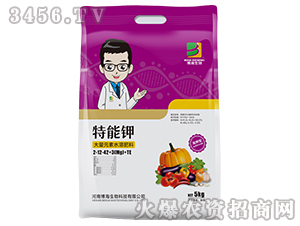 �����-��������