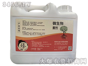 ΢�������-��������