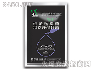 ���S�ù��+����ѿ�ߗU��-����-Ǭ�r(n��ng)