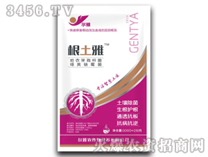 ����ѿ�ߗU��+���S�ù��-������-Ǭ�r(n��ng)