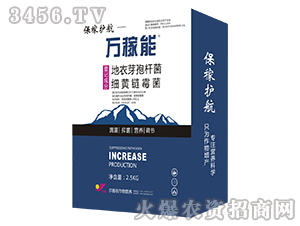 �����o��-�f����-Ǭ�r(n��ng)