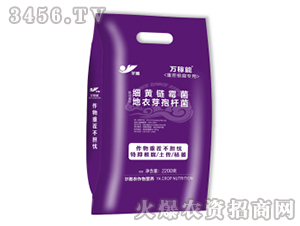 �ز�������þ���-�f(w��n)����-Ǭ�r(n��ng)