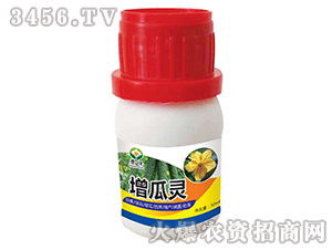 �����`-��������