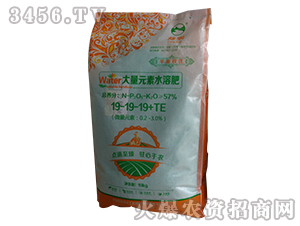 ����Ԫ��ˮ�ܷ�19-19-19+TE-��������