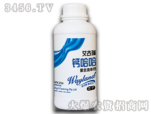 �������}����-�ۺ����w�}-δ��(l��i)���W(xu��)