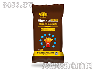 ̼ø��΢���������10�|/�ˣ�-���