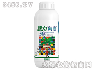 �G������-50%�߼����徫�A-����